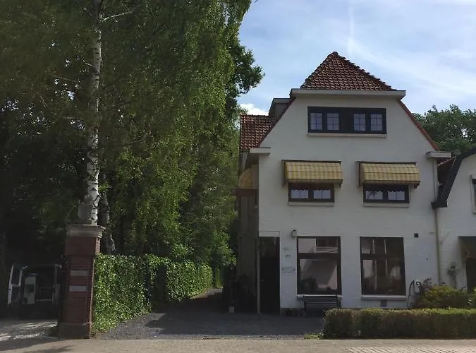 B&B De Druif