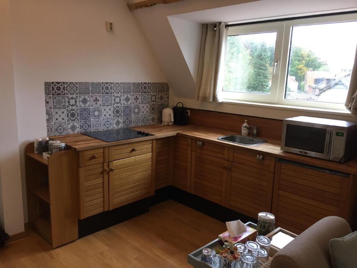 De Druif Apartment *