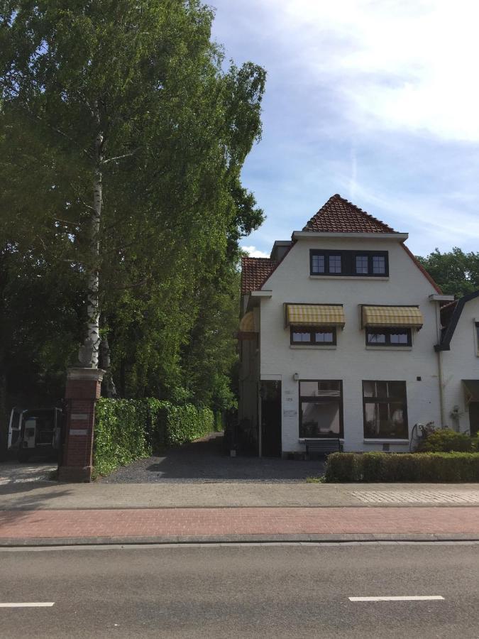 De Druif